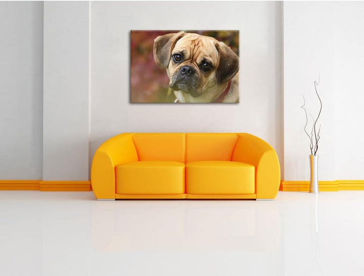 Pixxprint Mops Welpe als Leinwandbild/Grösse: 100x70 cm/Wandbild/Kunstdruck/fertig bespannt, 100x70