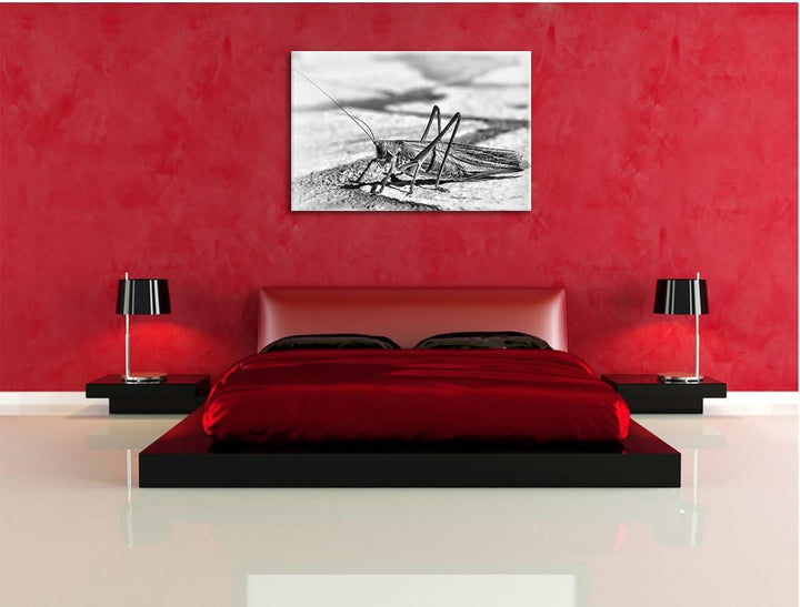 Pixxprint Elegante Heuschrecke / 100x70cm Leinwandbild bespannt auf Holzrahmen/Wandbild Kunstdruck D