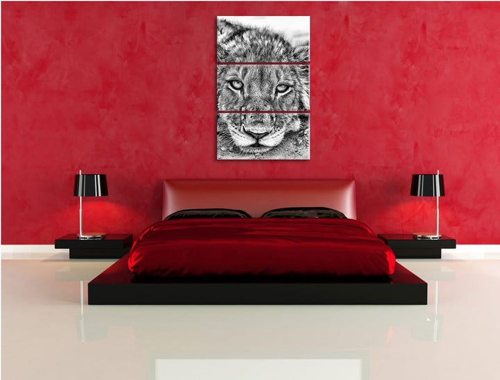 Pixxprint Monocrome, wachsame Löwin 3-Teiler Leinwandbild 120x80 Bild auf Leinwand