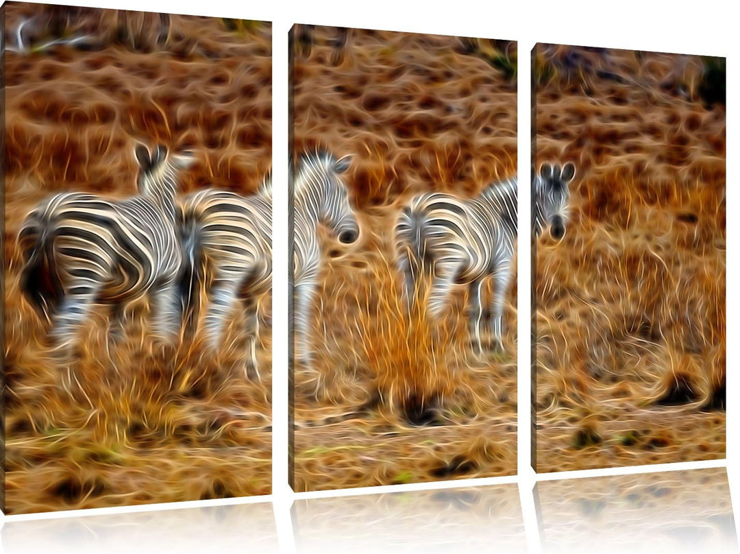 Zebraherde im Wildgras Spezial 3-Teiler Leinwandbild 120x80 Bild auf Leinwand, XXL riesige Bilder fe