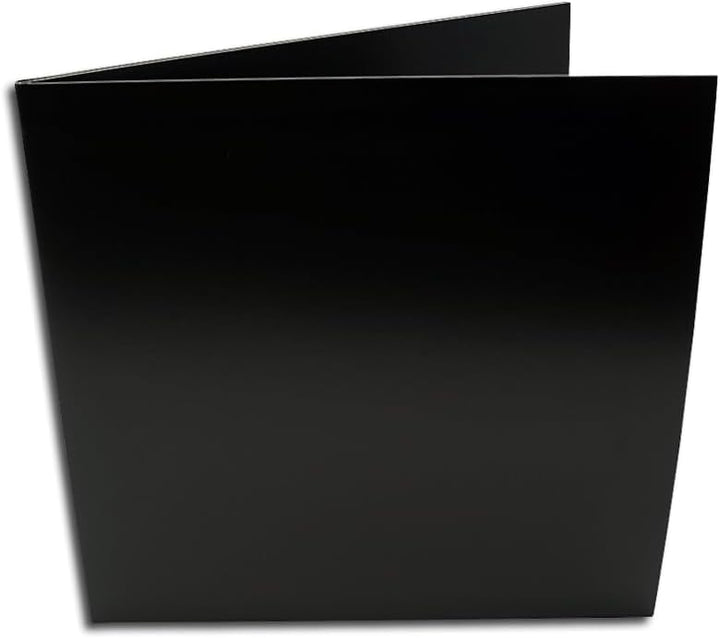 LP Schallplatten Doppel Cover Protected Deluxe (10 Stück)