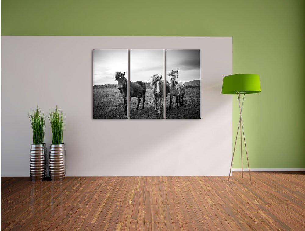 Pixxprint DREI Wilde Islandpferde Schwarz/Weiss 3-Teiler Leinwandbild 120x80 Bild auf Leinwand