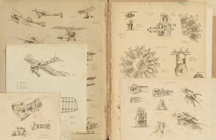Earhart: Der abenteuerliche Flug einer Wühlmaus um die Welt, Gebundenes Buch