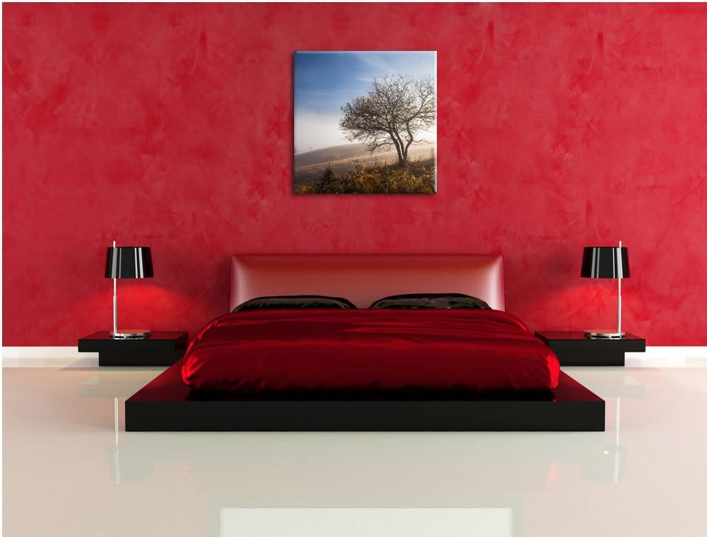 Pixxprint Baum im hohen Gras als Leinwandbild | Grösse: 70x70 cm | Wandbild | Kunstdruck | fertig be