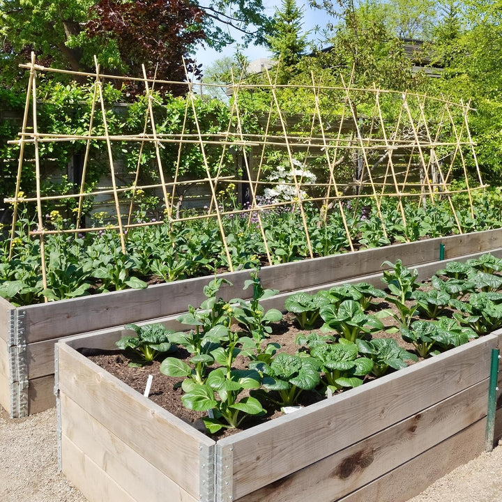 UNUS Bambusstäbe, 25 Pflanzstäbe aus Bambus, 150 cm lang, Rankhilfe für Zimmerpflanzen oder im Garte
