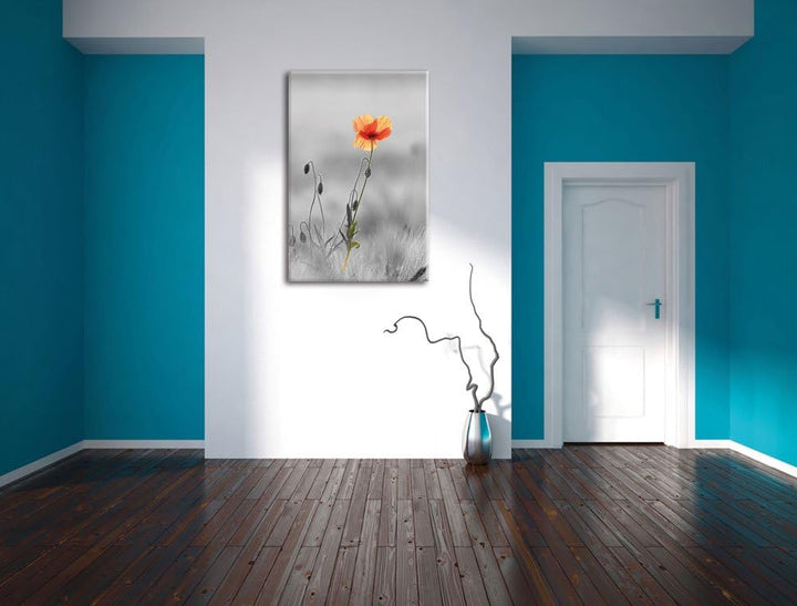 Pixxprint Rote Mohnblume im Feld als Leinwandbild/Grösse: 100x70 cm/Wandbild/Kunstdruck/fertig bespa