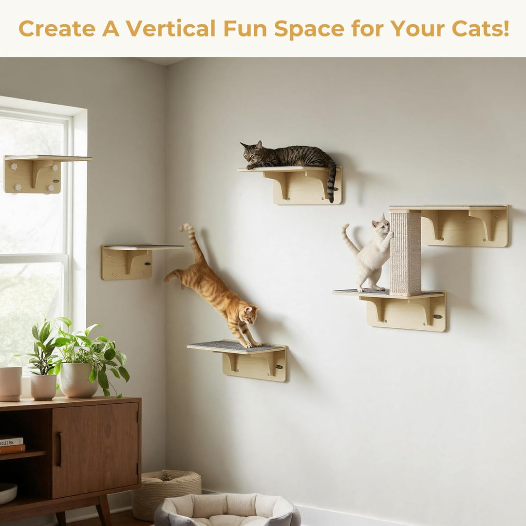 pecute Kletterwand Katzen, 2-in-1 für Wand & Glas, Katzenkletterwand mit Waschbar Abnehmbar Filzunte
