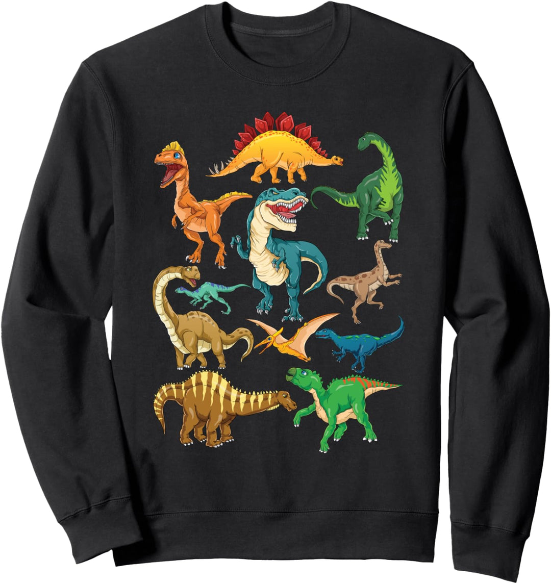 Dinosaurier-Arten Grafiken Dino T-Rex Jungen Dinosaurier Sweatshirt