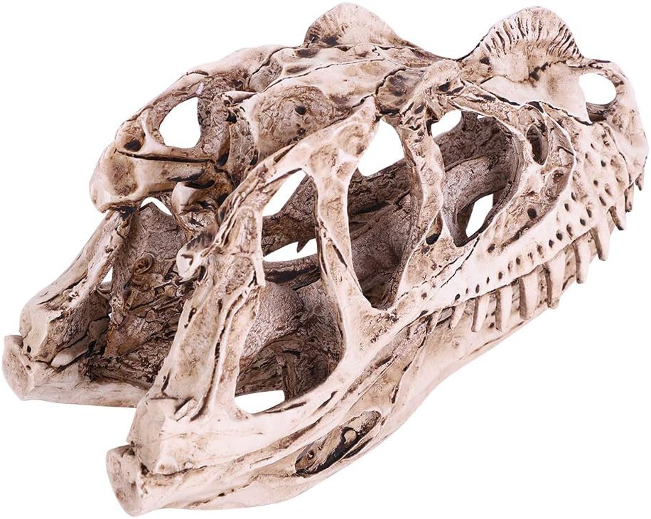 VIFERR Dinosaurier-Schädel-Modell Harz simuliertes Dinosaurier-Skelett Home-Office-Dekor Handwerk Le