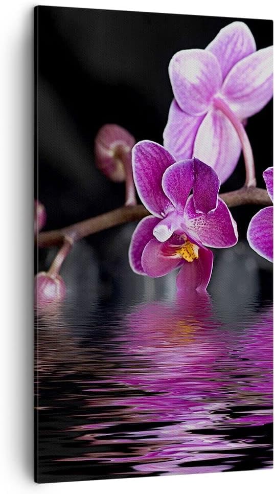Bilder auf Leinwand Asien exotisch orchidee blume Leinwandbild mit Rahmen 45x80cm Wandbilder Dekorat