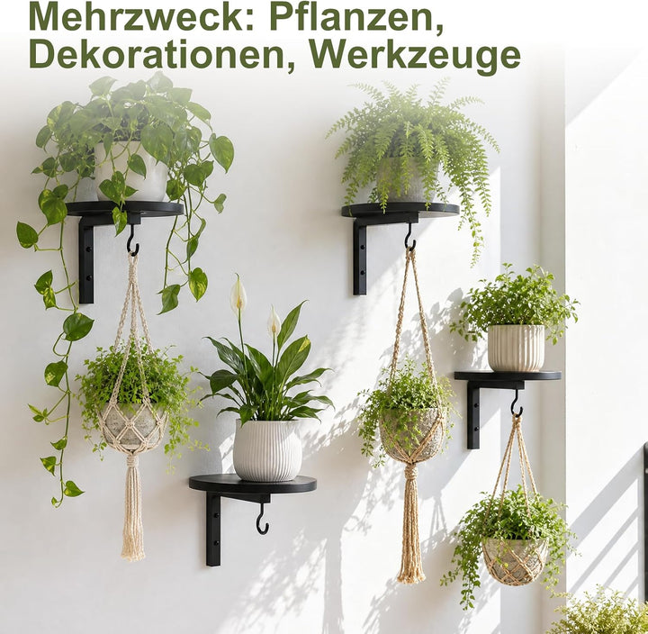 Wandbehang Pflanzenregal 3er Set, Pflanzenhalter mit Ablage und Haken | Platzsparend &amp; Einfach zu Mo