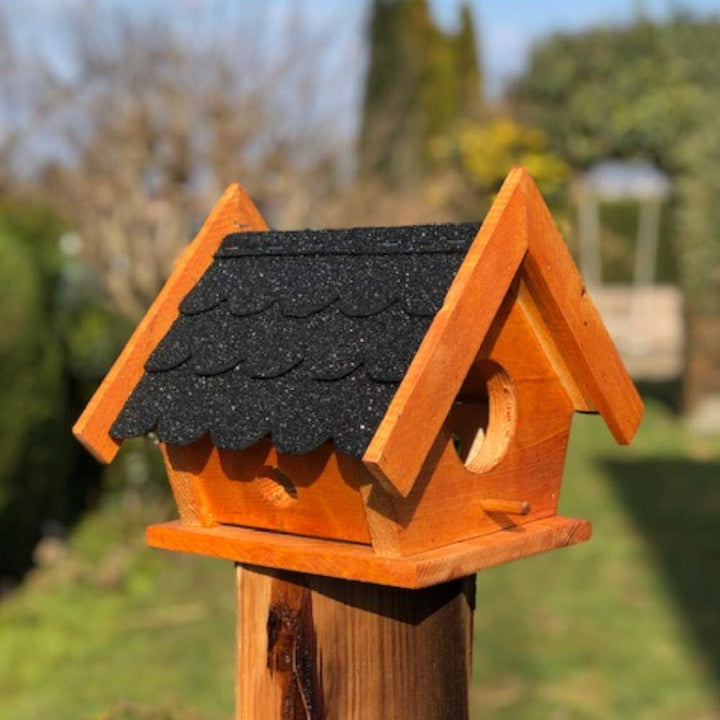 DARLUX Eichhörnchen Futterhaus wetterfest und stabile, Handmade aus eigener Produktion, Futterstatio