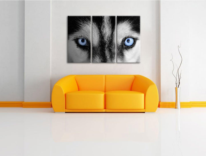 Pixxprint Eisblaue Huskyaugen als Leinwandbild/Grösse: 3 Teilig (120x80 cm) cm/Wandbild/Kunstdruck/f