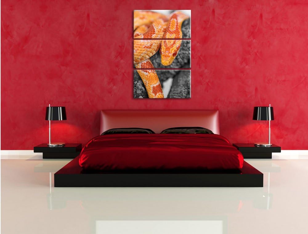 Pixxprint ruhende Kornnatter auf Baum als Leinwandbild/Grösse: 3 Teilig (120x80) cm/Wandbild/Kunstdr
