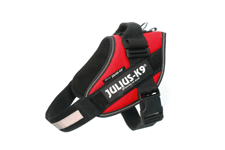 Julius-K9 IDC Powerharness für Hunde, mit zwei kostenlosen individuellen Patches, Rot, Grösse 0 M/Si