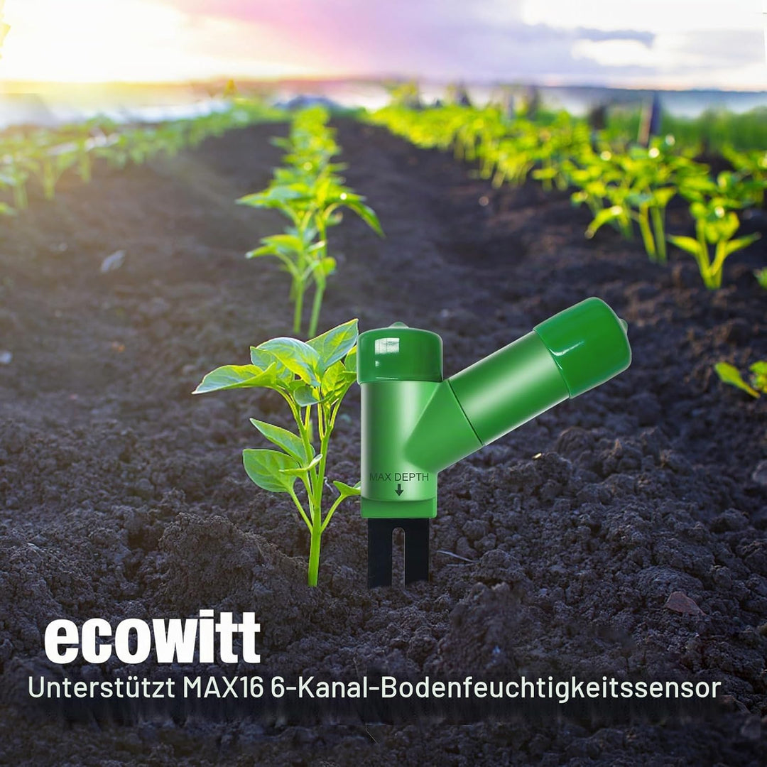 ECOWITT WH51 Bodenfeuchtigkeitssensor Bodenfeuchtigkeitsprüfer - Nur Zubehör, kann Nicht allein verw