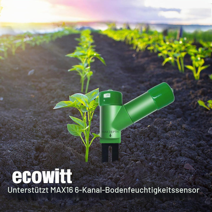 ECOWITT WH51 Bodenfeuchtigkeitssensor Bodenfeuchtigkeitsprüfer - Nur Zubehör, kann Nicht allein verw