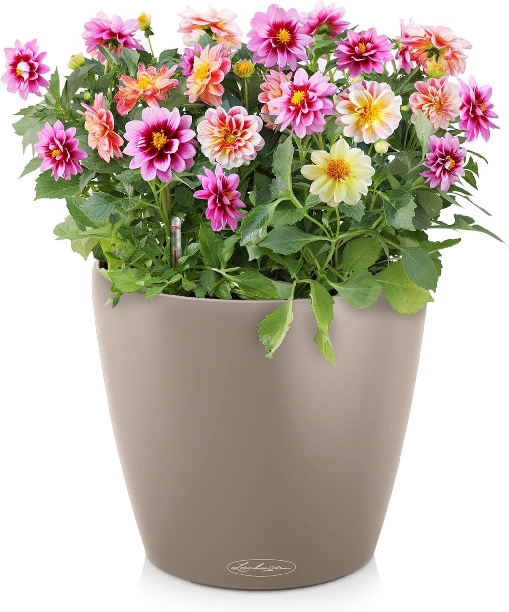 LECHUZA CLASSICO Color 43 sandbraun 13245 43.5x43.5x39.5 cm Sandbraun, 43.5x43.5x39.5 cm Sandbraun