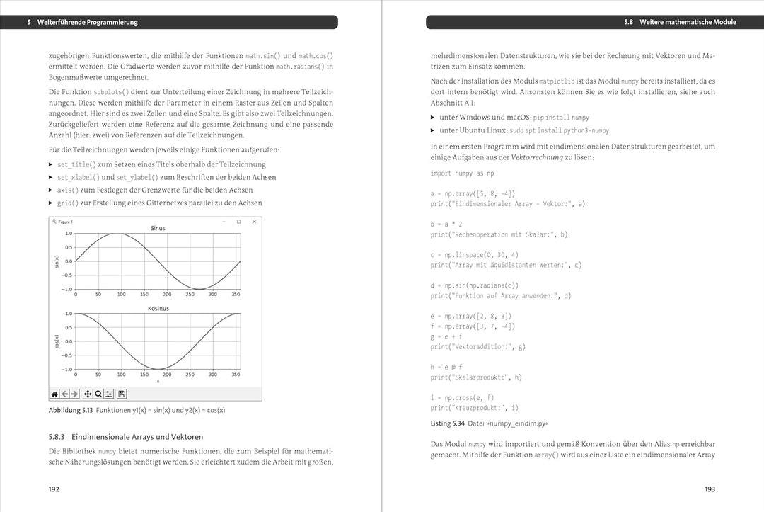 Einstieg in Python: Die Einführung in Python 3. Das ideale Buch für Programmieranfänger. Inkl. Objek