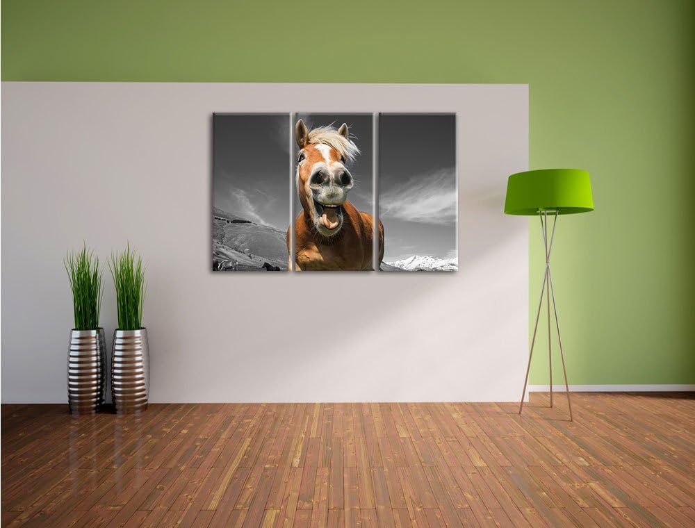 Pixxprint Lustiges Pferd in der Natur B&W Detail 3-Teiler Leinwandbild 120x80 Bild auf Leinwand