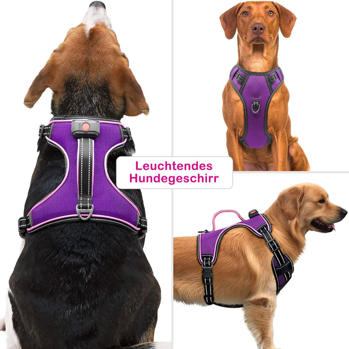 Hundegeschirr Leuchtend Wiederaufladbares Leuchtgeschirr für Hunde Led Beleuchtetes Hundegeschirr fü