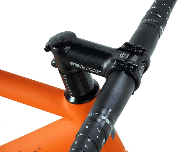 FabricBike Light - Fixed Gear Fahrrad, Single Speed Fixie Starre Nabe, Aluminium Rahmen und Gabel, R