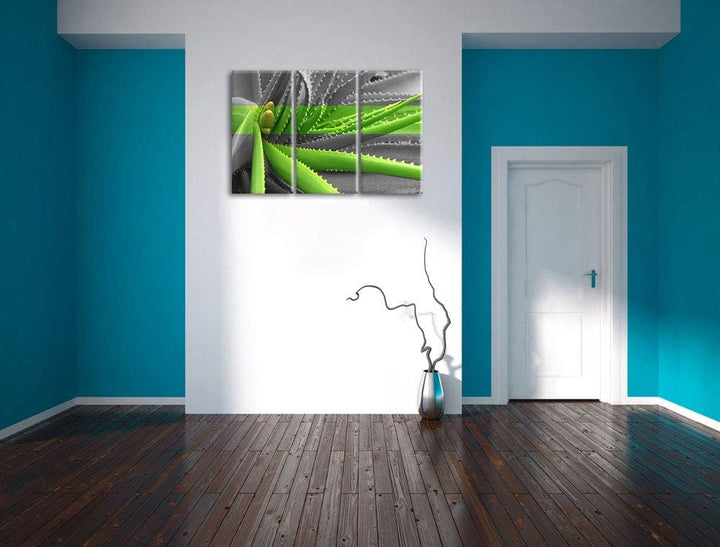 Pixxprint grüne Aloe Vera Pflanze als Leinwandbild | Grösse: 3 Teilig (120x80) | Wandbild| Kunstdruc