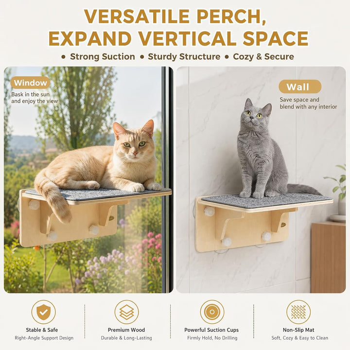 Katzen Fensterplätze (bis 16 kg), 2-in-1 für Wand &amp; Glas, Katzenkletterwand mit Waschbar Abnehmbar F