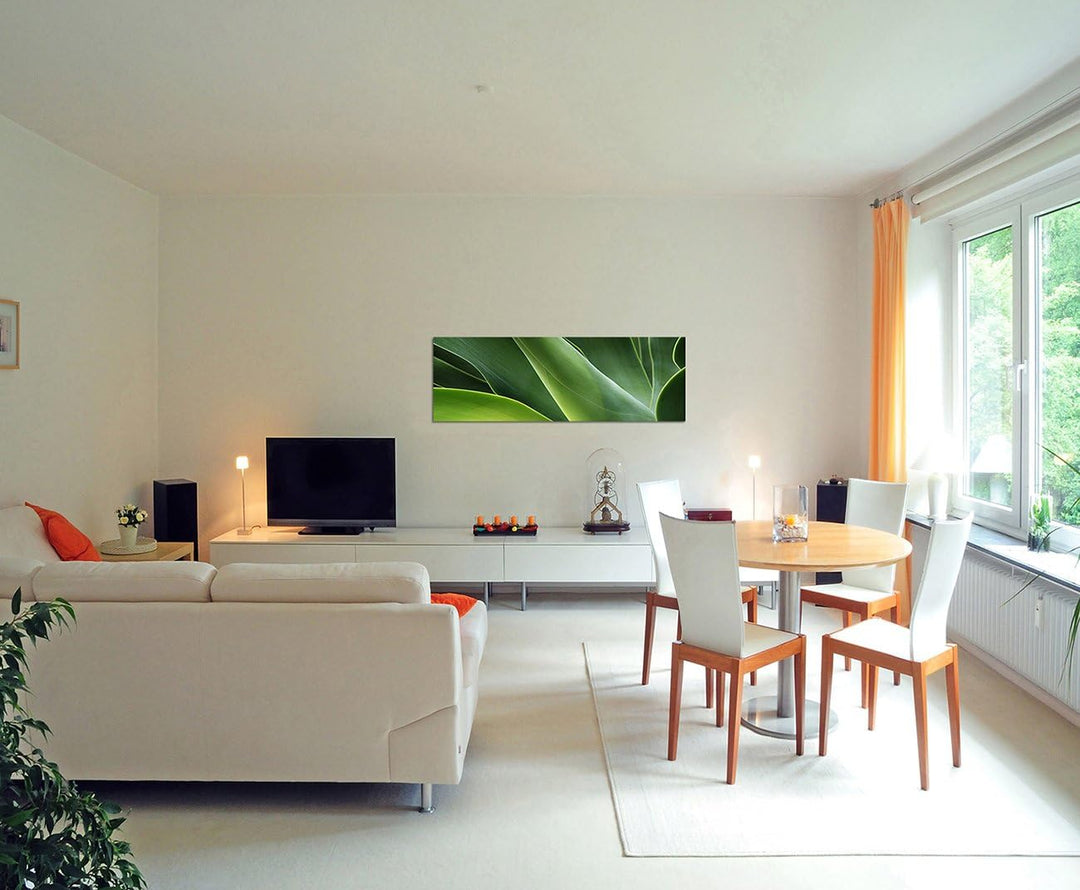 Paul Sinus Art Panoramabild auf Leinwand und Keilrahmen 150x50cm Kaktus Pflanze abstrakt