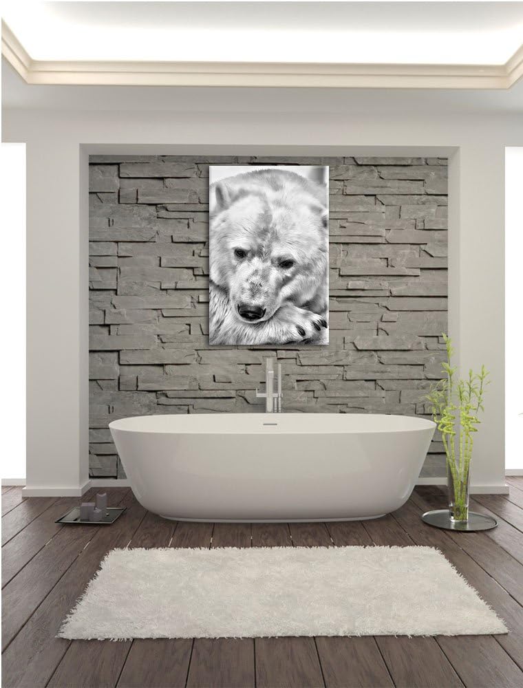 Pixxprint Nachdenklicher Eisbär als Leinwandbild/Grösse: 100x70 cm/Wandbild/Kunstdruck/fertig bespan