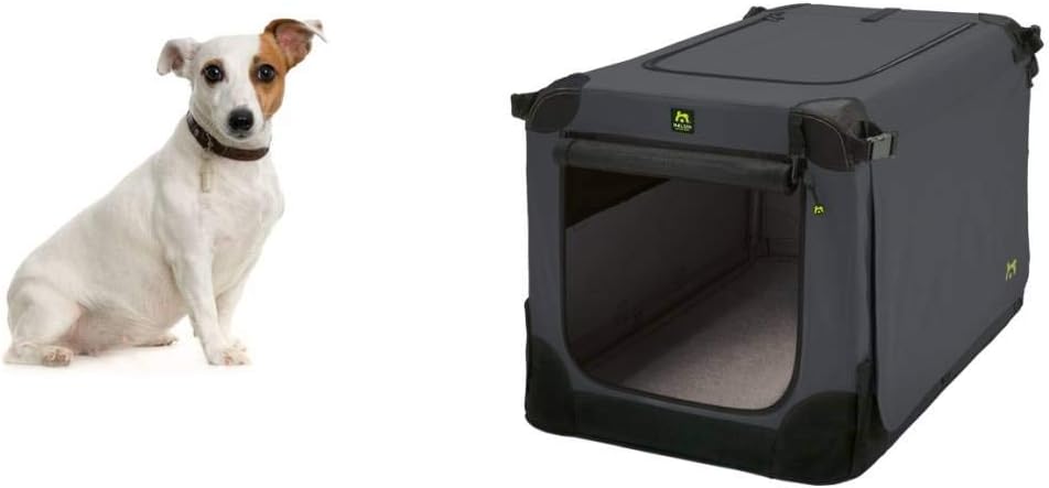 Maelson Soft Kennel Faltbare Hundebox -anthrazit- L 92 - (92 x 64 x 64 cm) Anthrazit L 92 x B 64 x H