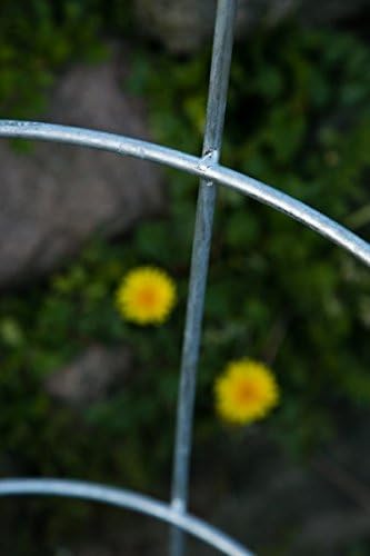 KUHEIGA Stabiler Staudenhalter Verzinkt H: 80cm, Volleisen Strauchhalter, Rankgerüst,