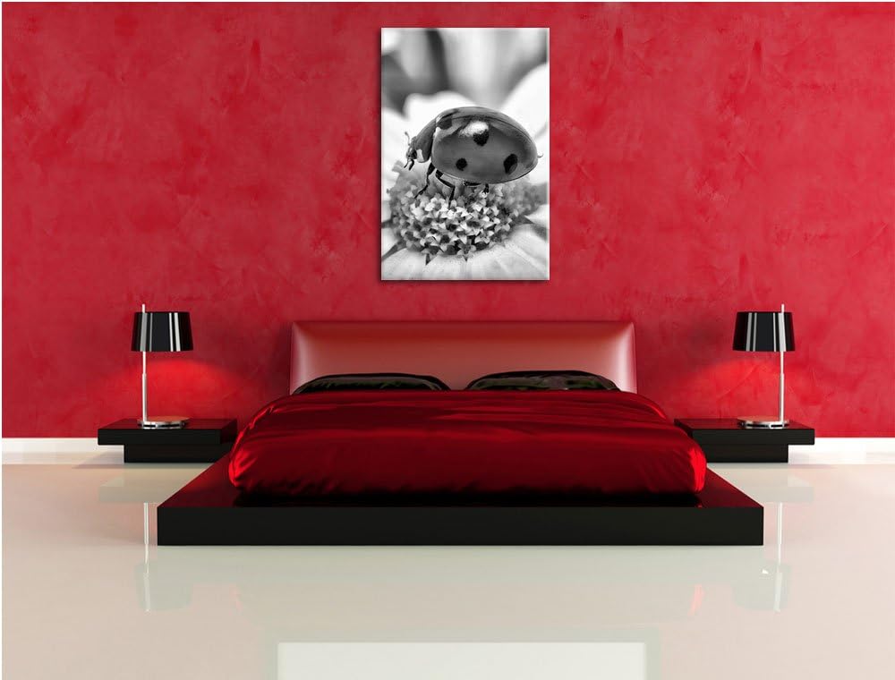 Pixxprint Marienkäfer auf Gänseblümchen als Leinwandbild/Grösse: 100x70 cm/Wandbild/Kunstdruck/ferti