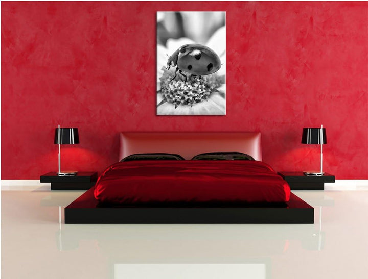 Pixxprint Marienkäfer auf Gänseblümchen als Leinwandbild/Grösse: 100x70 cm/Wandbild/Kunstdruck/ferti