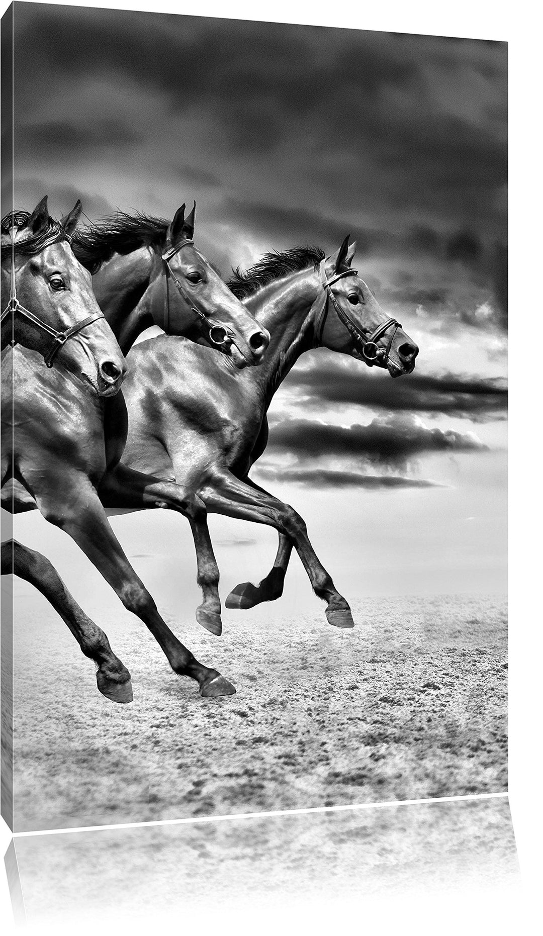 Pixxprint Monocrome, DREI Wilde Westernpferde, Format: 100x70 auf Leinwand, riesige Bilder fertig ge