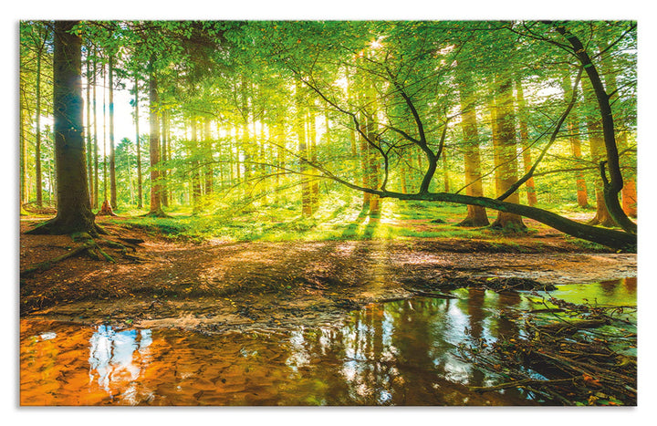 ARTland Spritzschutz Küche aus Alu für Herd Spüle 80x50 cm (BxH) Küchenrückwand mit Motiv Natur Land