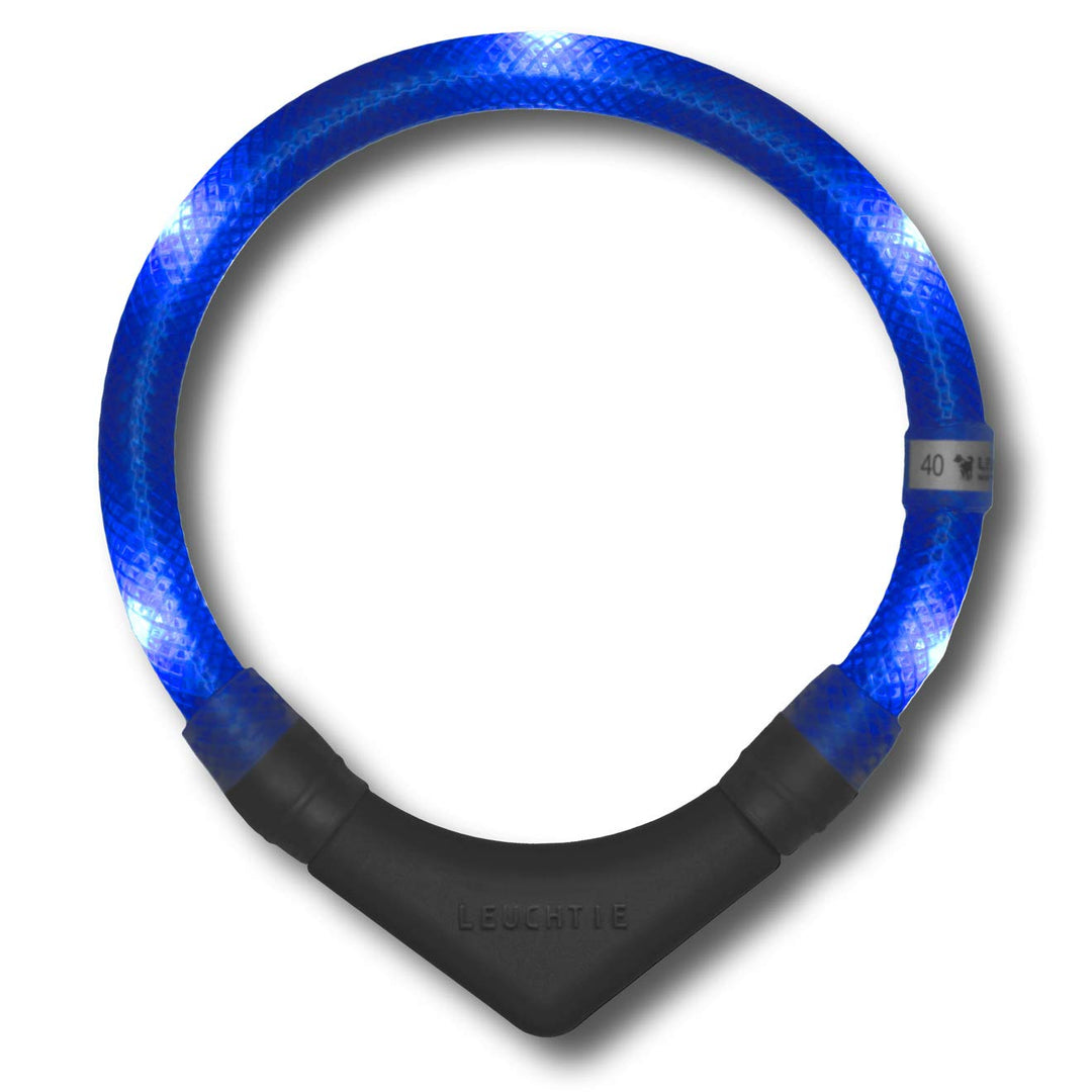 LEUCHTIE® Leuchthalsband Plus für Hunde, wasserdichtes LED Halsband, enorm hell 100h Leuchtdauer, Hu