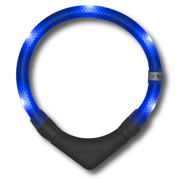 LEUCHTIE® Leuchthalsband Plus für Hunde, wasserdichtes LED Halsband, enorm hell 100h Leuchtdauer, Hu