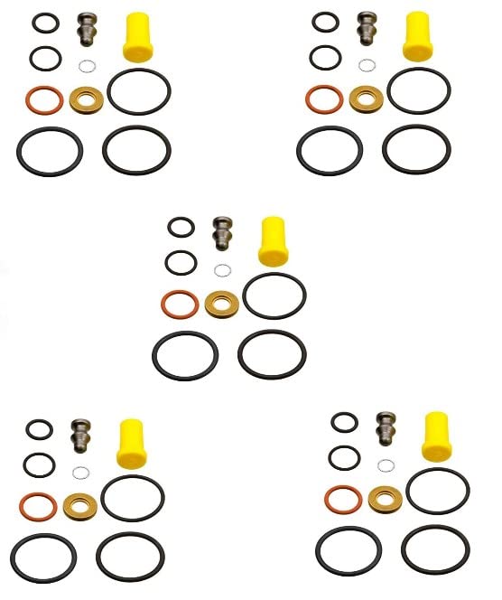 Reparatur- Dichtsatz 5 x 10-teilig für Pumpe-Düse Einheit