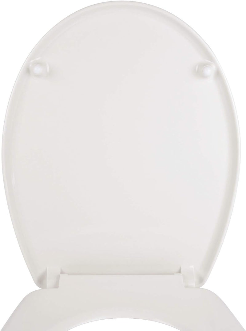 SITZPLATZ® WC-Sitz mit Absenkautomatik, Dekor Flamingo Paradise, antibakterieller Duroplast Toilette