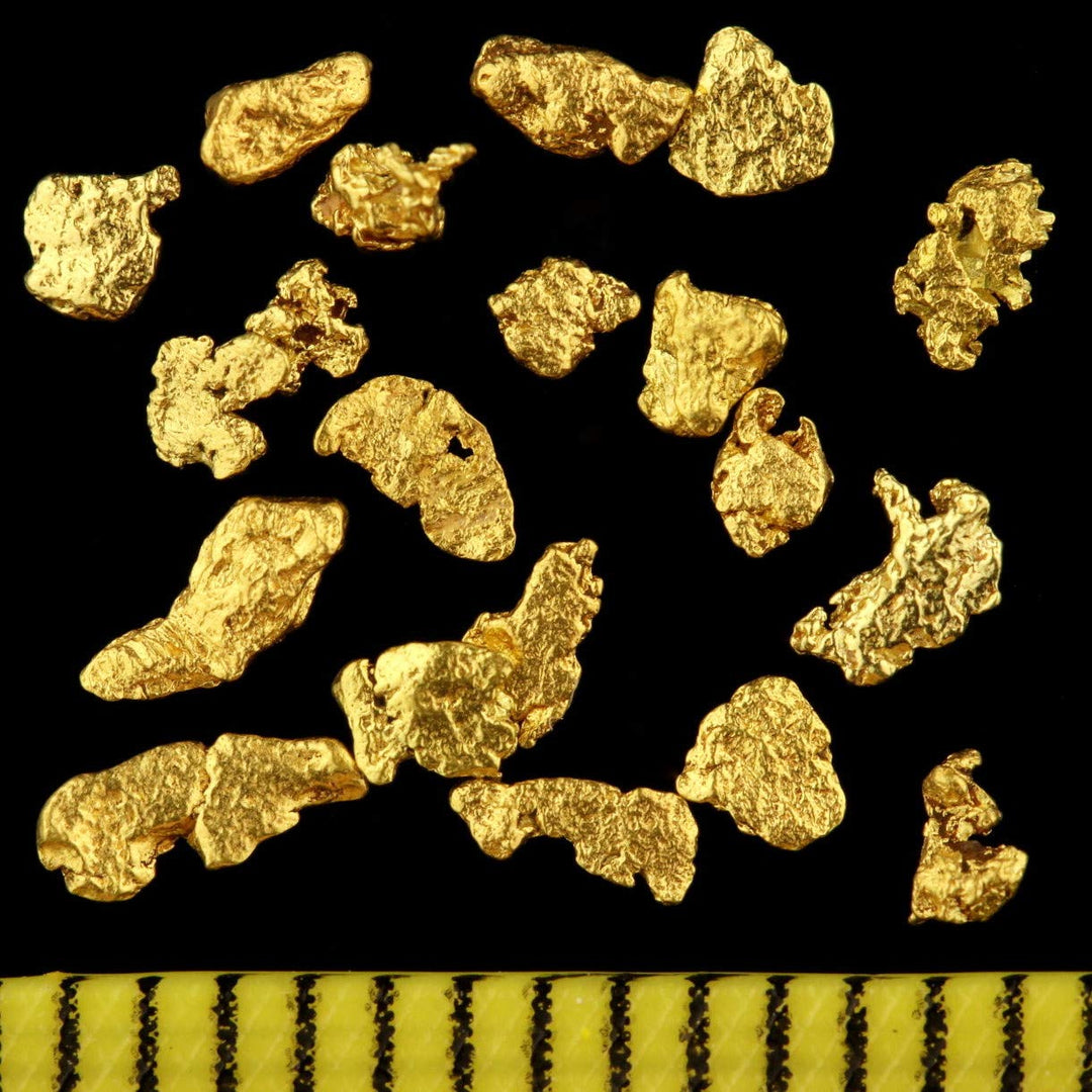 10 Gramm Goldnuggets aus Alaska mit je 2-3 mm + Echtheitszertifikat in edler Münzdose, 10 Gramm