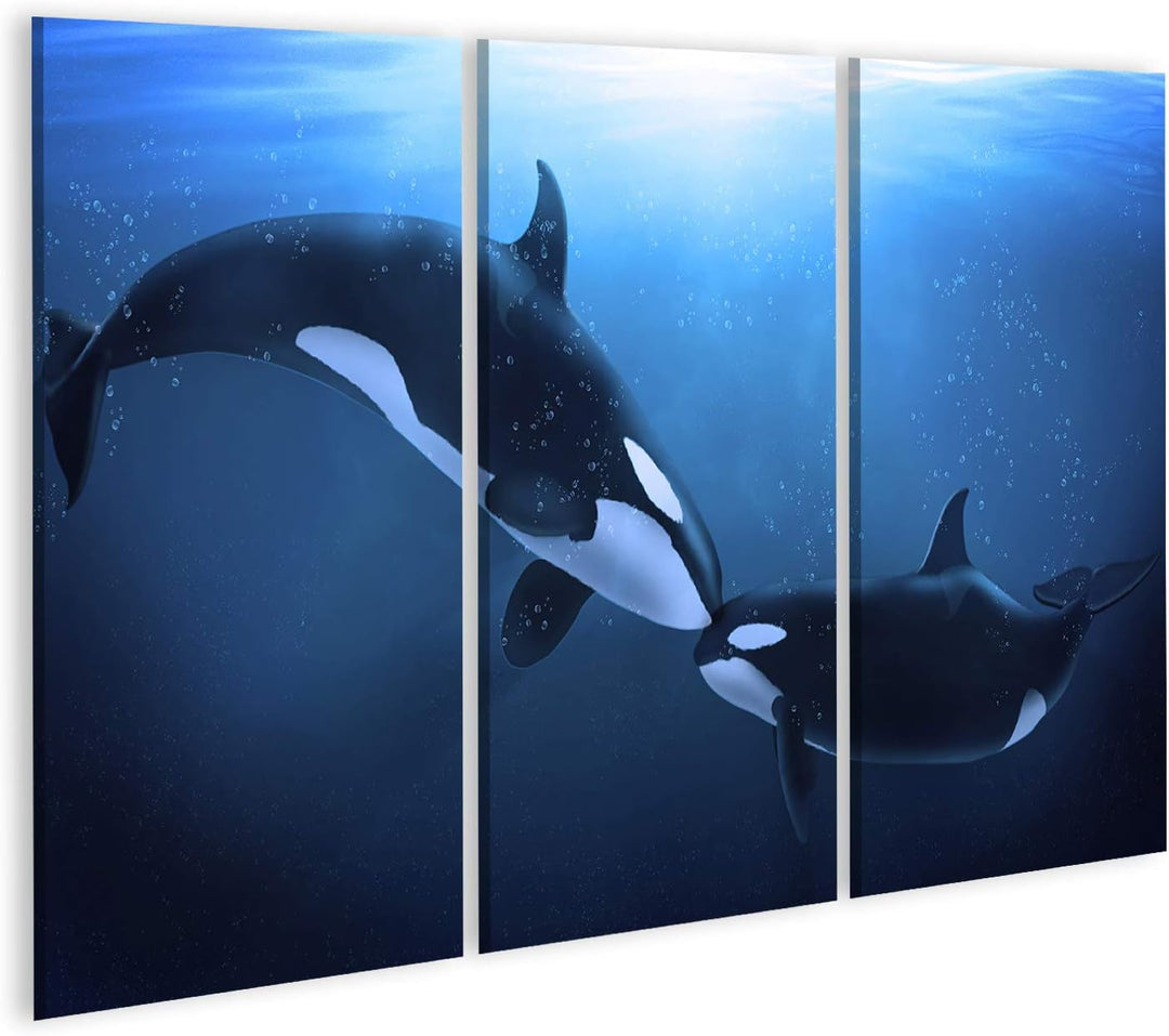 islandburner Bild auf Leinwand Orcas Wale In Der Tiefsee Wal Bilder Wandbilder Poster Leinwand 130x8