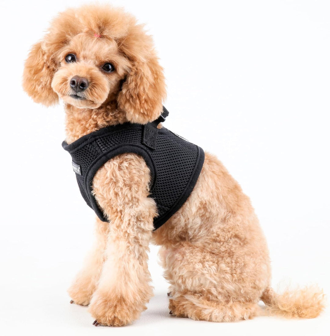 Puppia Hundegeschirr für kleine und mittelgrosse Hunde - weiche Weste in vielen Farben - Auch als We