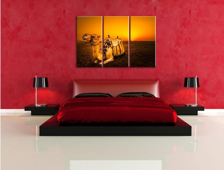 Pixxprint Kamel bei Sonnenuntergang in Ägypten 3-Teiler Leinwandbild 120x80 Bild auf Leinwand