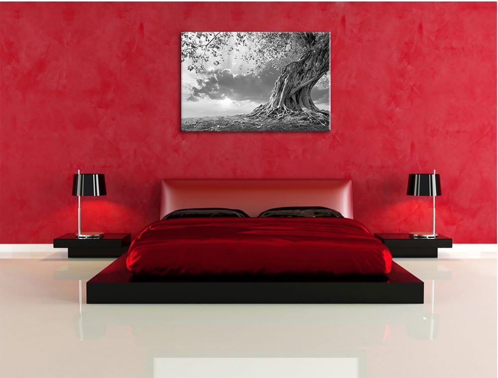 Pixxprint Verwurzelter starker Baum im Sonnenuntergang Kunst B&W, Format: 100x70 auf Leinwand, 100x7