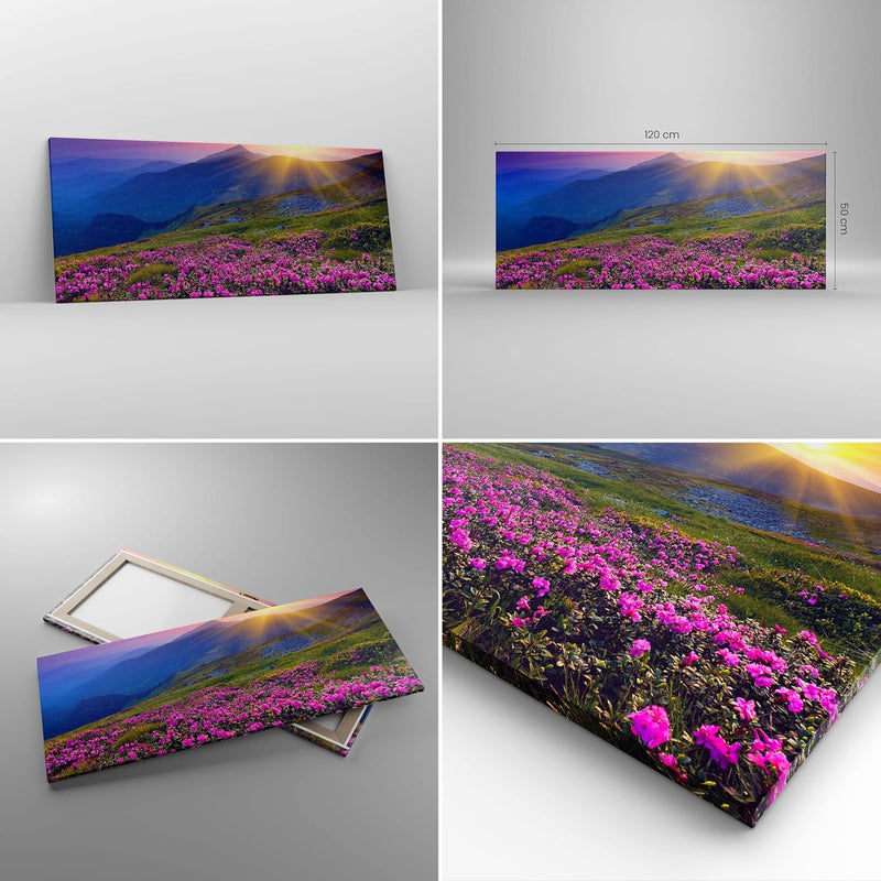 Wandbilder Dekoration Wohnzimmer Wiese Berge Landschaft Panorama Bilder auf Leinwand 120x50cm Leinwa