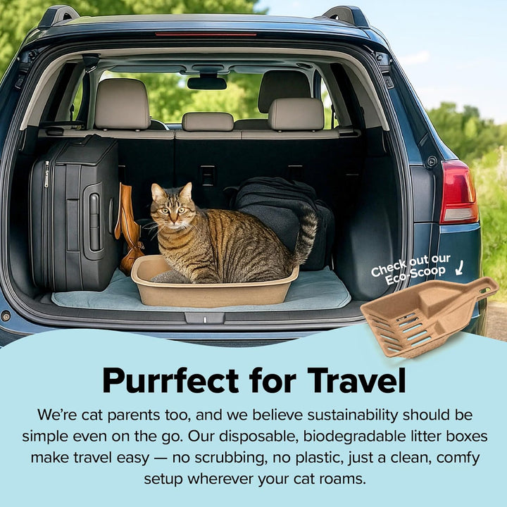 Kitty Sift (Set mit 1 Katzentoilette & 5 Siebeinlagen) Nachhaltig, sauber, Sieben, Einweg-Katzentoil
