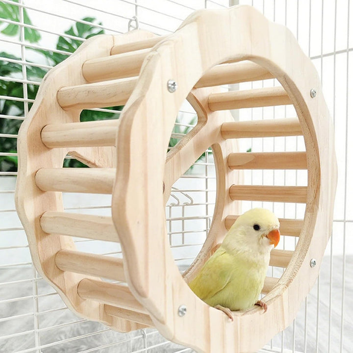 Vogelspielzeug Rotierende Schaukel, Holz Vogel Schaukel für Papageien, Naturholz, Langeweile lindern