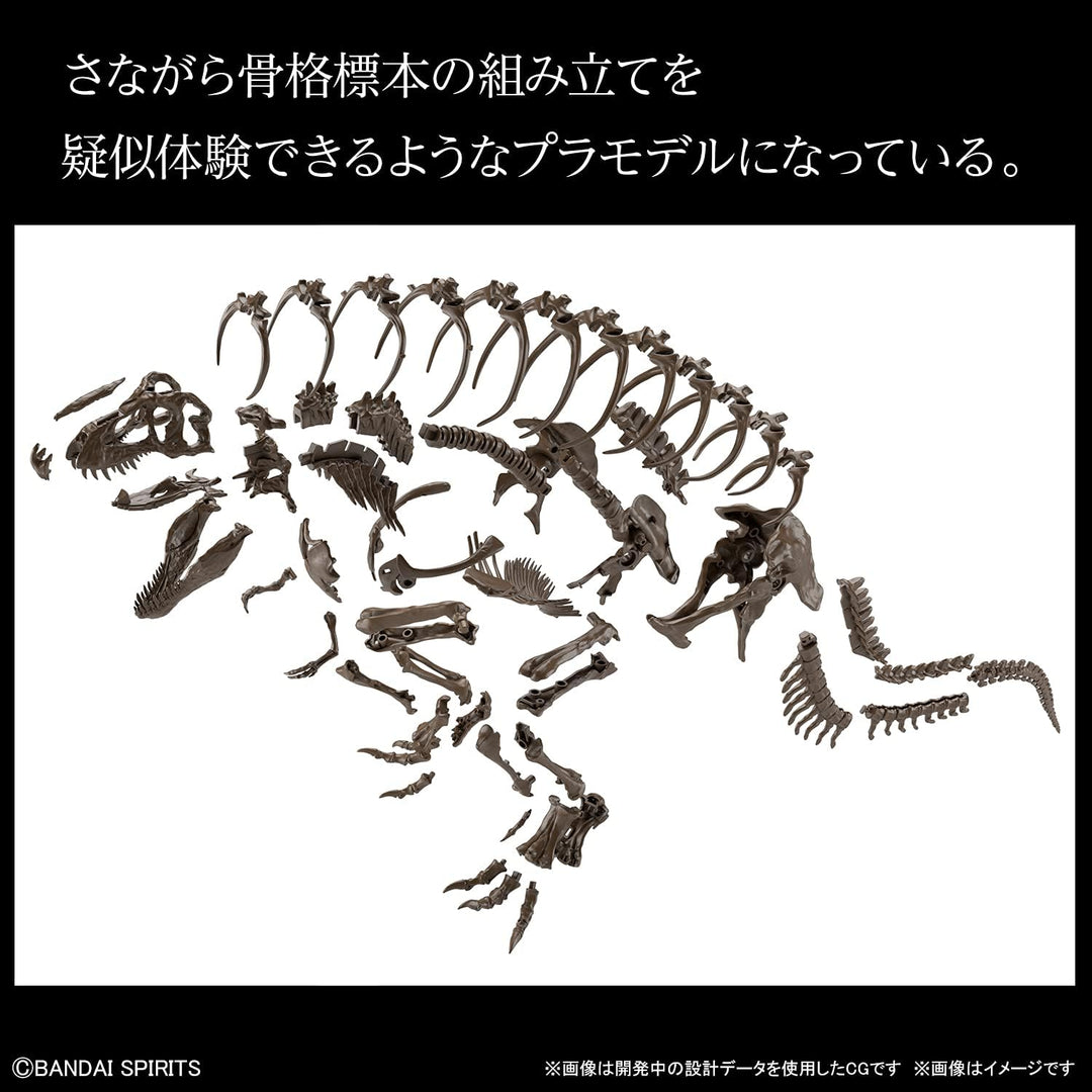 Bandai 1/32 Imaginary Skeleton Tyrannosaurus, Keine, One Size