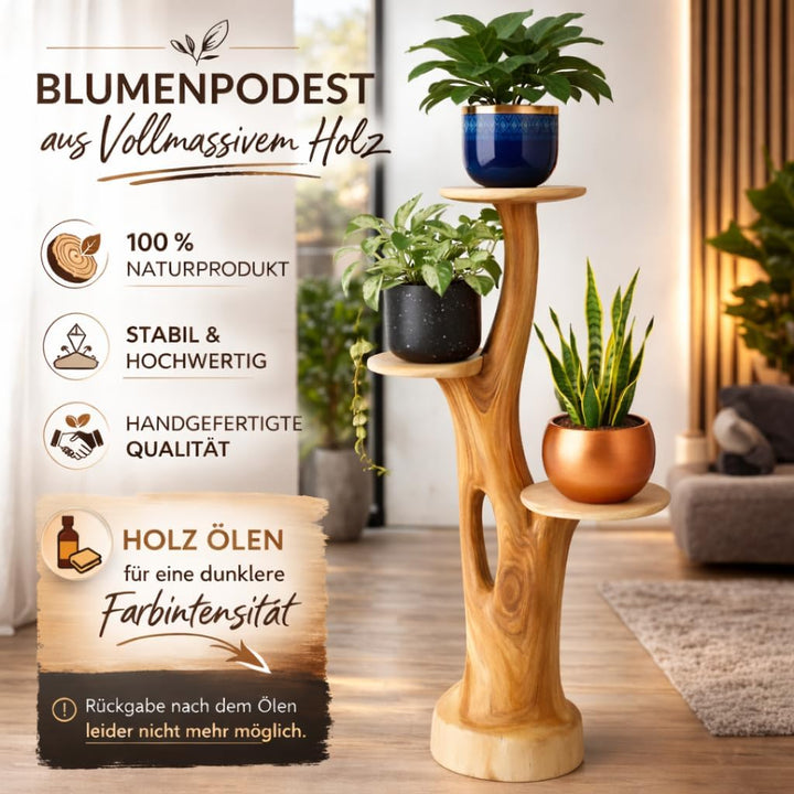 My-goodbuy24 Blumenständer Blumentreppe Blumenpodest Blumenhocker Pflanzen Blumen Treppe Holz Massiv